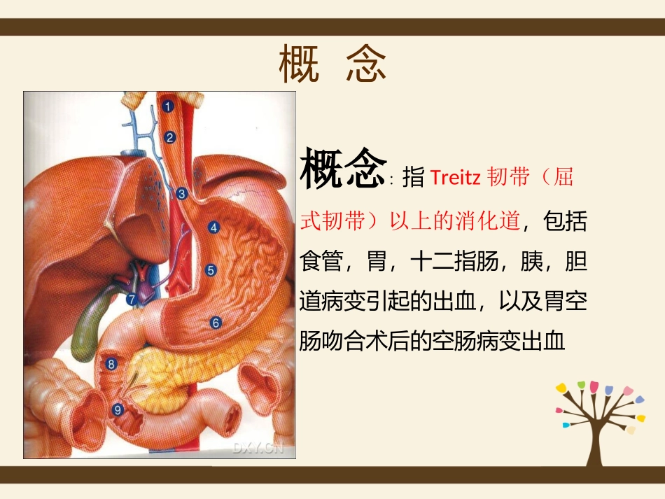 上消化道出血个案查房_第3页
