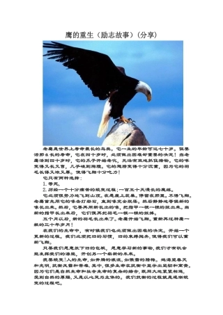 鹰的重生（励志故事）