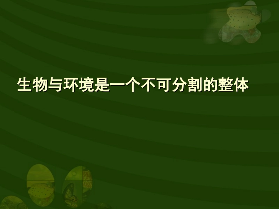 七年级生物《生物圈是最大的生态系统》课件_第2页