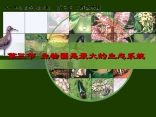 七年级生物《生物圈是最大的生态系统》课件