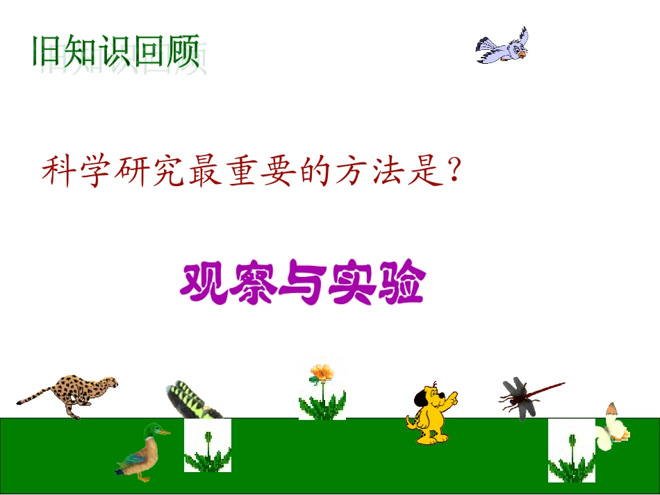 七年级科学观察蜗牛_第1页