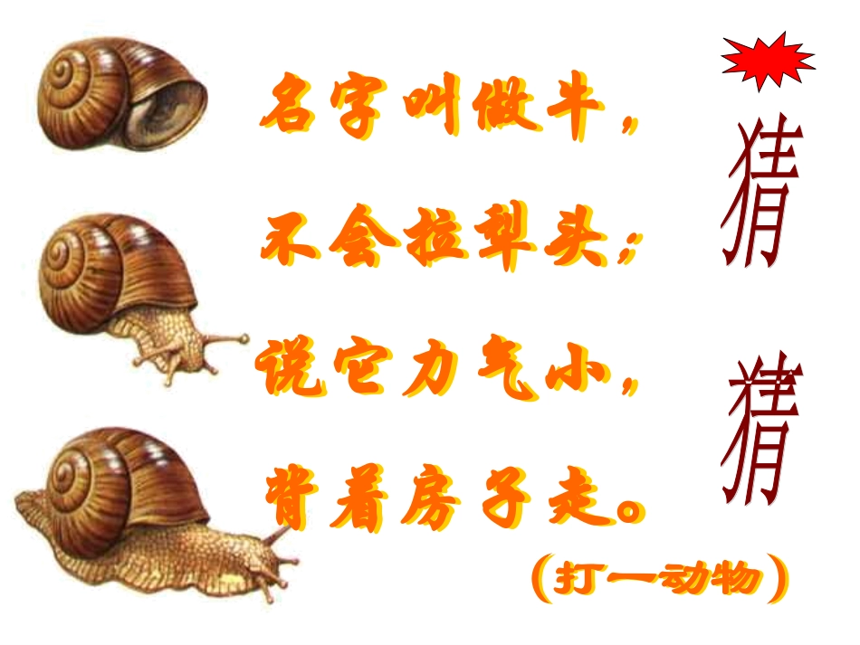 七年级科学观察蜗牛_第2页