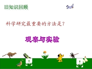 七年级科学观察蜗牛