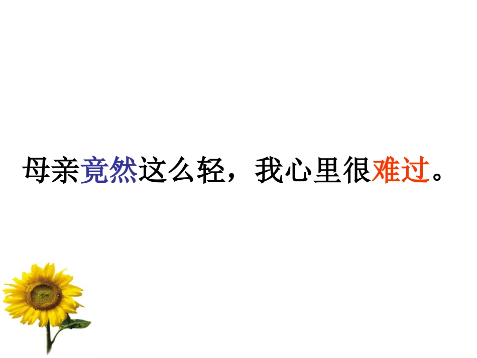 第一次抱母亲2012课件4_第3页