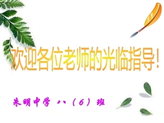 北师大版八年级轴对称与坐标变化