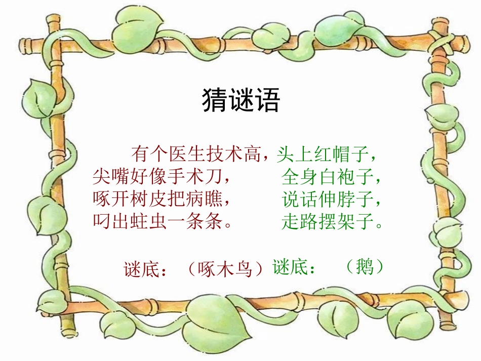 鸟和家禽-教学课件_第1页