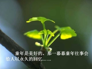 9.《满山的灯笼火把》课件