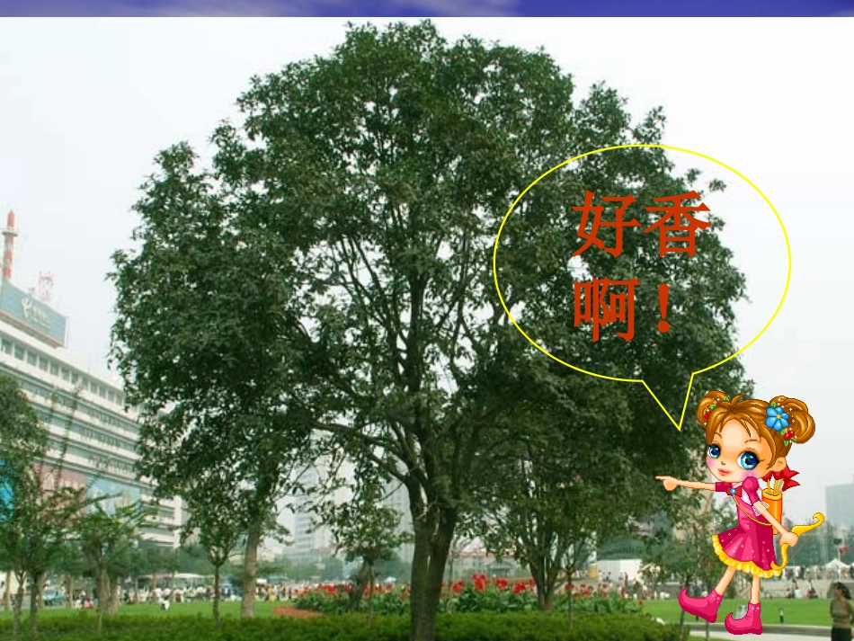 《分子和原子》课件_第1页