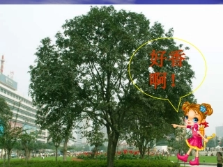 《分子和原子》课件