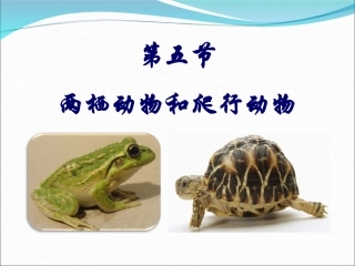 第五节两栖动物和爬行动物1