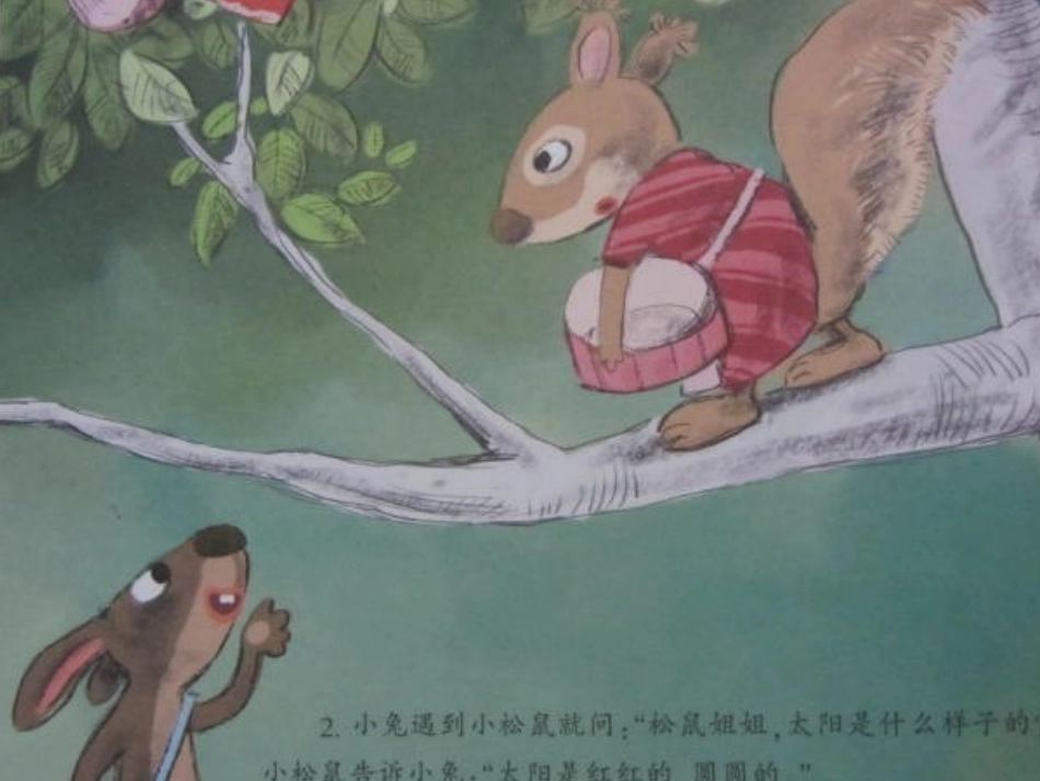 小兔找太阳多媒体_第3页