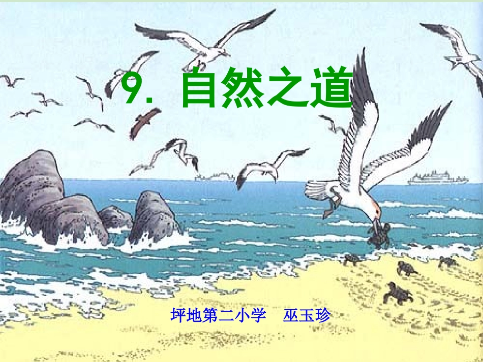 自然之道课件_第1页