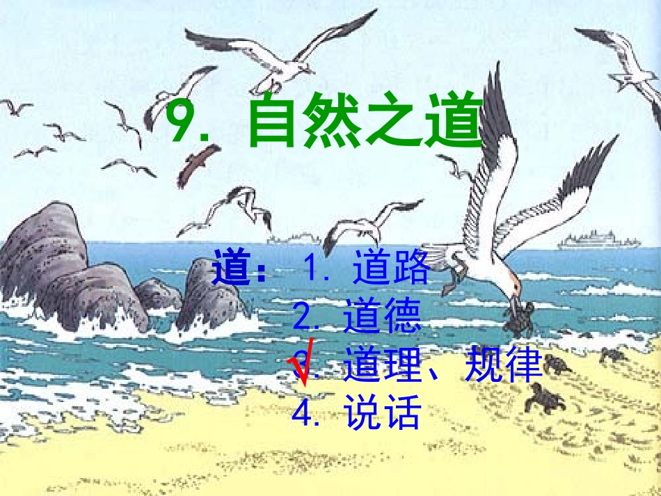 自然之道课件_第2页