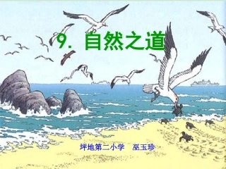 自然之道课件