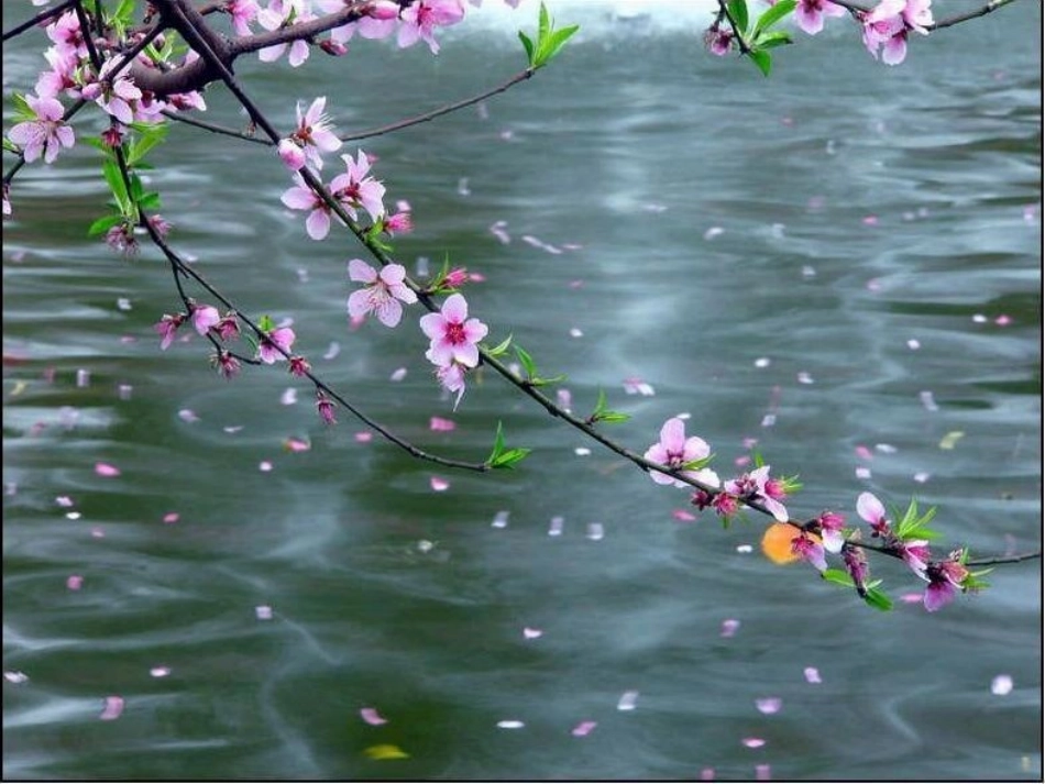 触摸春天课件_第3页