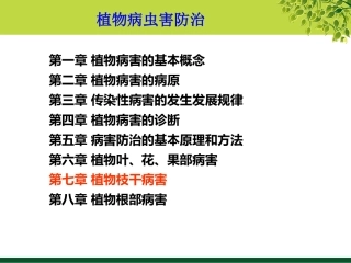 9第七章 植物枝干病害
