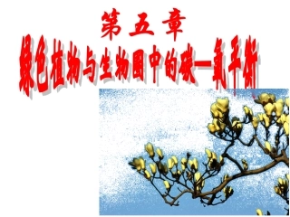 七年级生物绿色植物与生物圈中的碳氧平衡