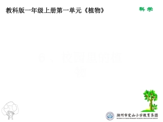 一上一6校园里的植物