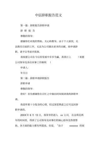 中层辞职报告范文