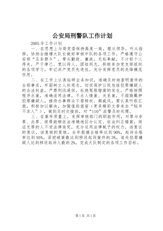 公安局刑警队工作计划