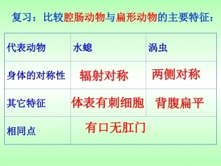 第二节线形动物和环节动物