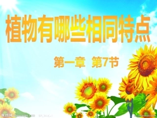 1.7_植物有哪些相同特点