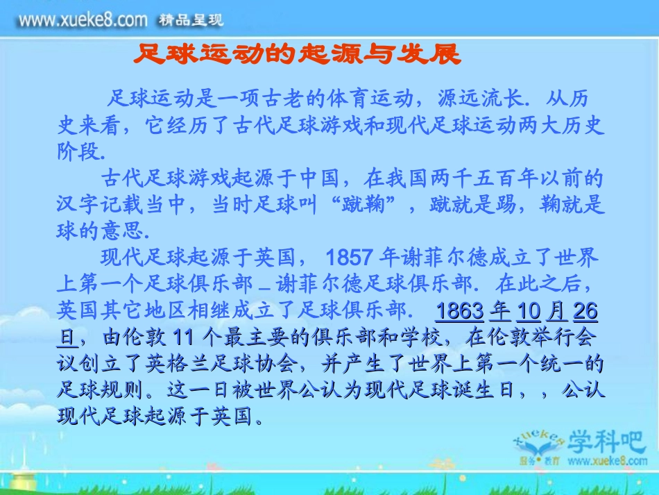 我的足球_PPT课件_第3页