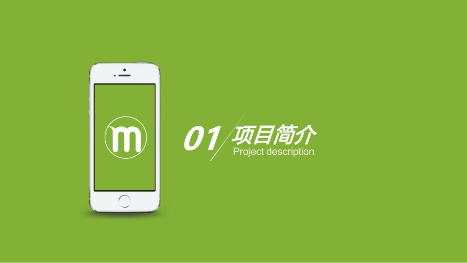 APP商业计划书模板_第3页