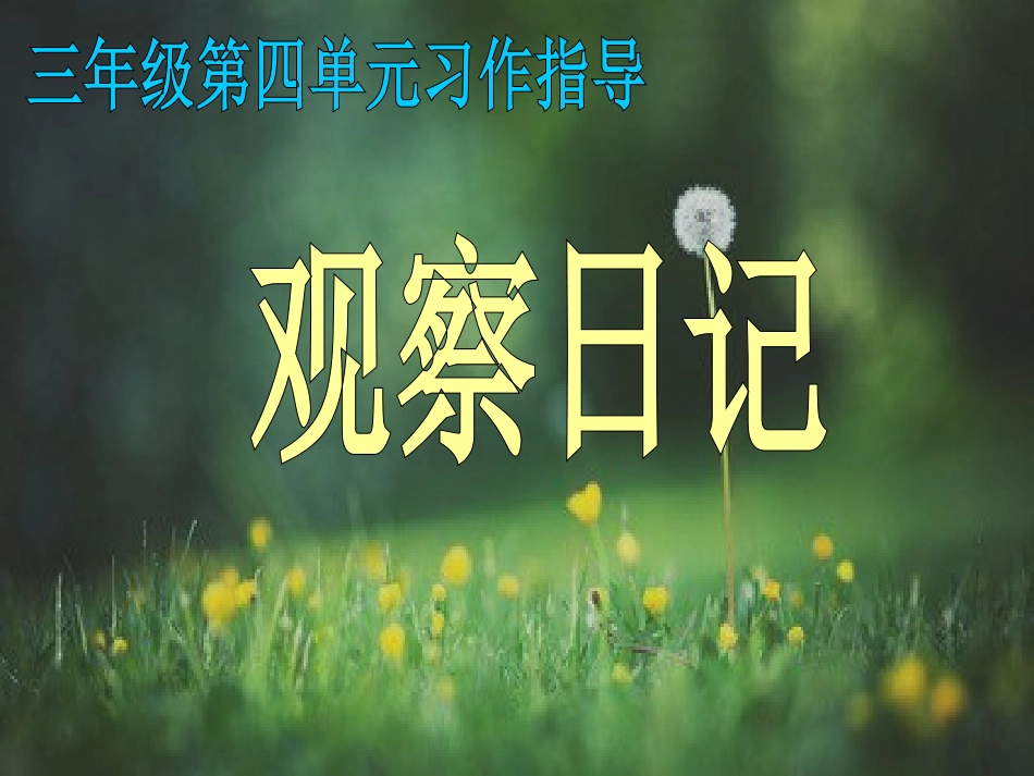 三年级上册观察日记_第1页