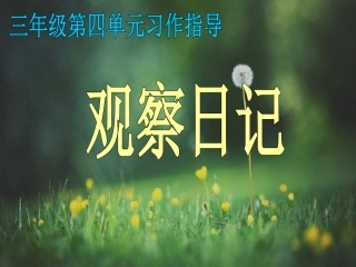 三年级上册观察日记