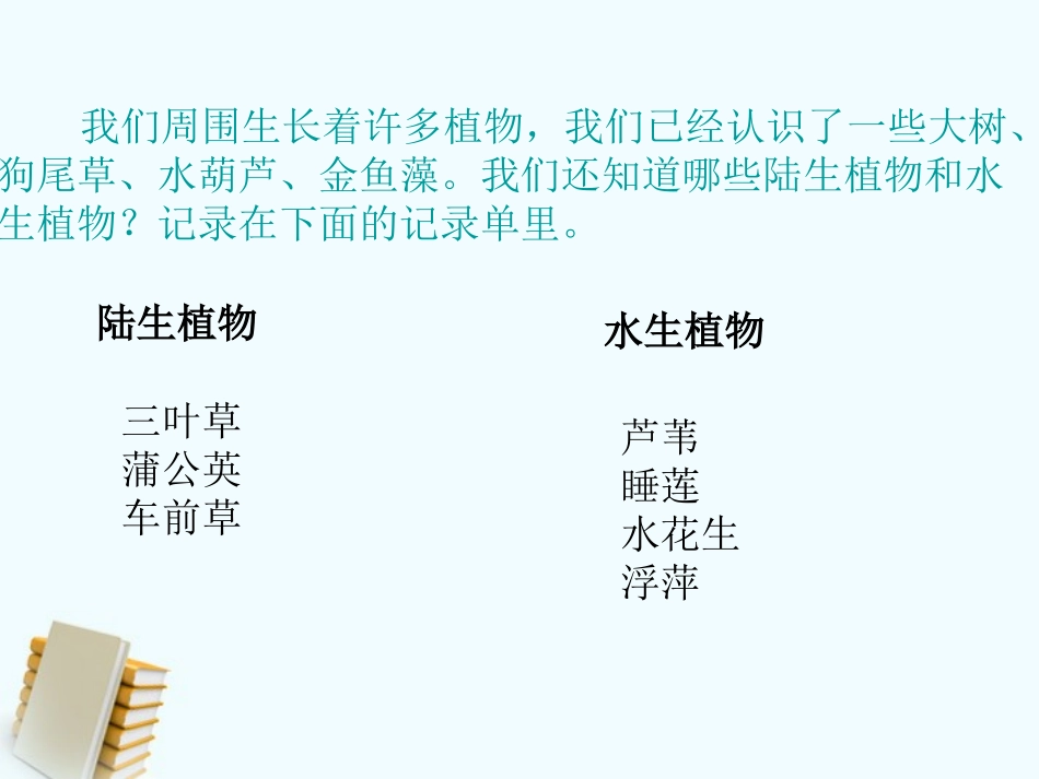 三年级科学上 第7课 植物有哪些共同特点课件_第2页