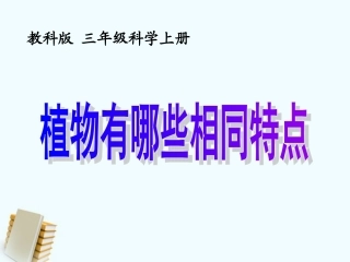 三年级科学上 第7课 植物有哪些共同特点课件