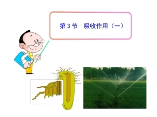 第5章第3节++吸收作用（一）（共22张PPT）(1)