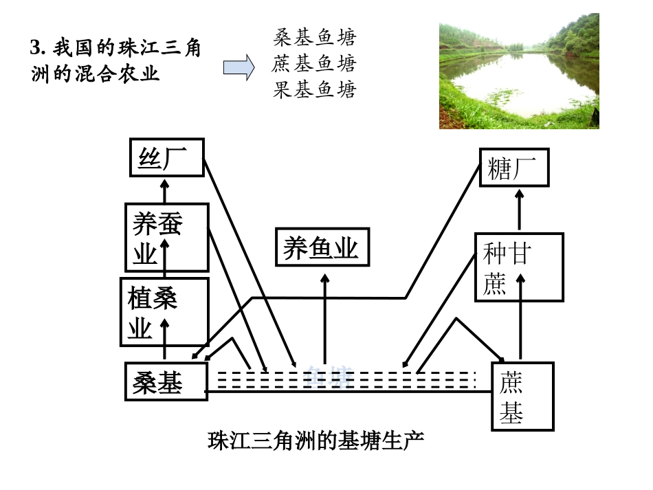 一轮复习农业地域类型_第3页