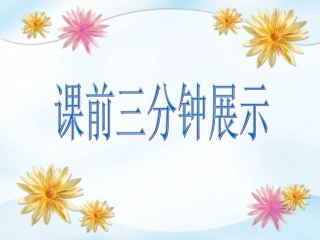 装满昆虫的衣袋第一课时课件