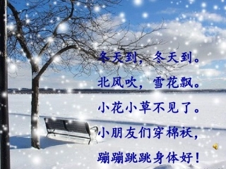 小动物过冬课件