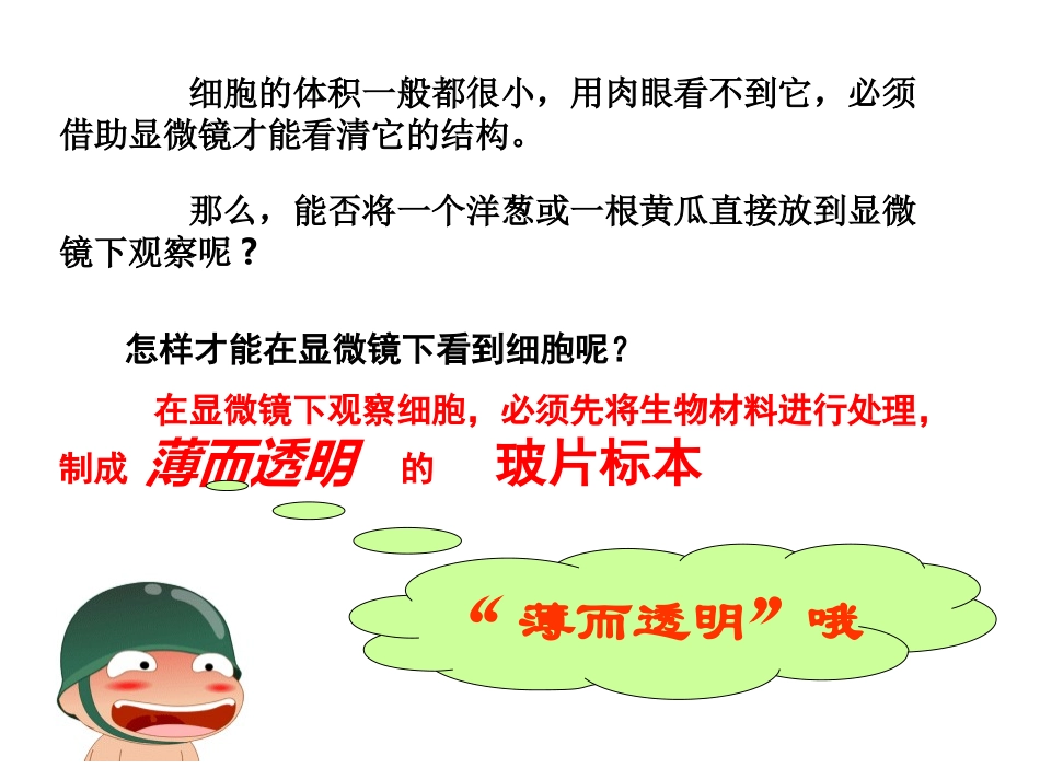 一 观察细胞_第3页