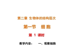 一 观察细胞
