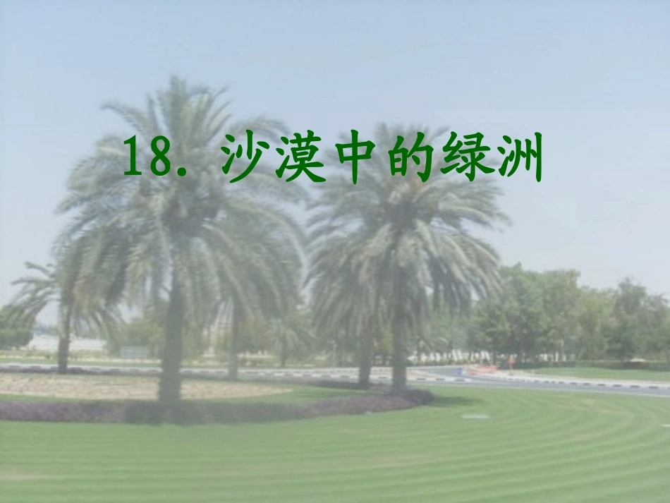 《沙漠中的绿洲》课件_第1页