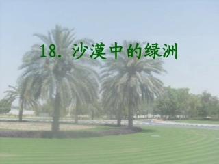 《沙漠中的绿洲》课件