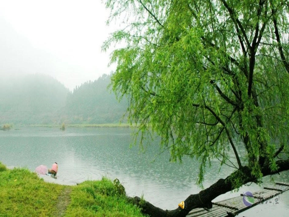 春天的色彩课件_第3页