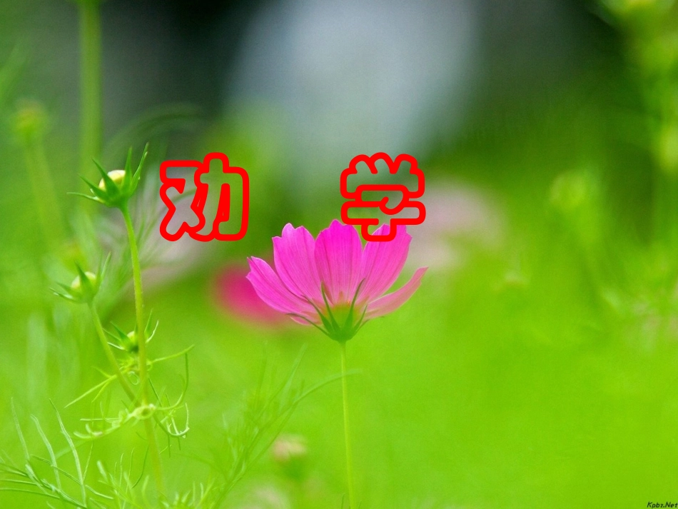 《劝学》《师说》文言知识整理_第1页