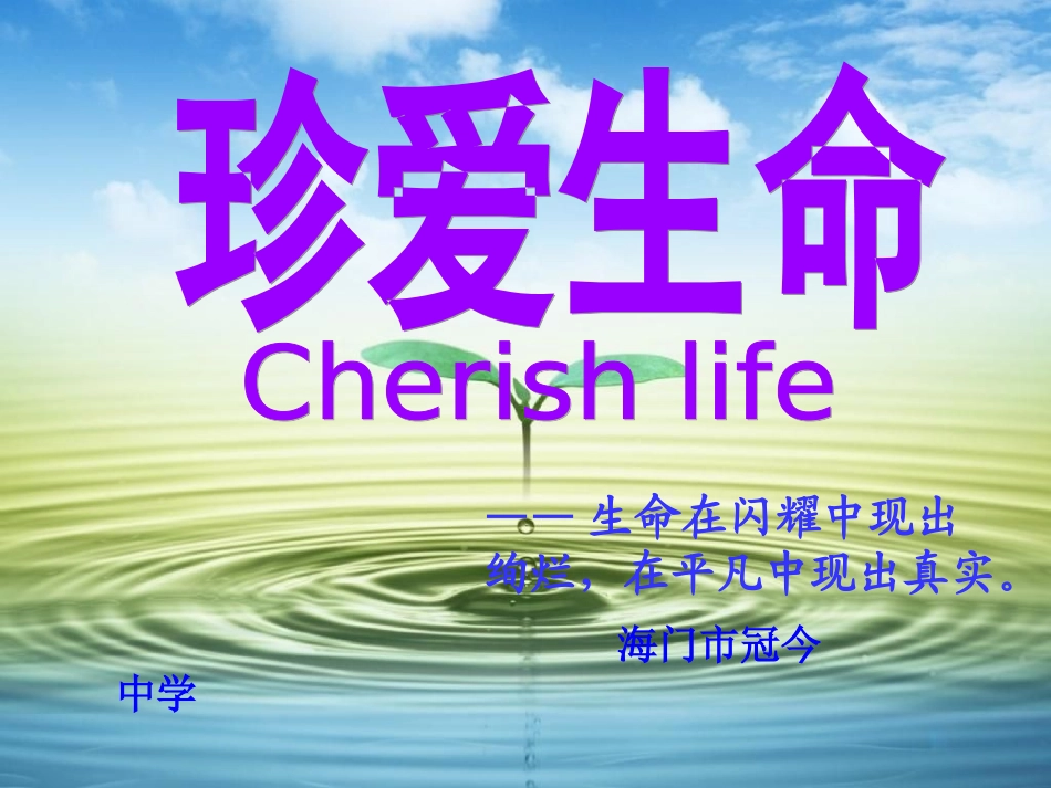 珍爱生命主题班会2_第1页