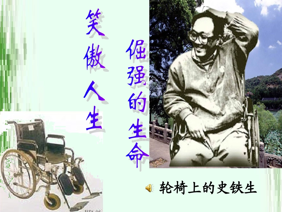 合欢树公开课课件_第2页