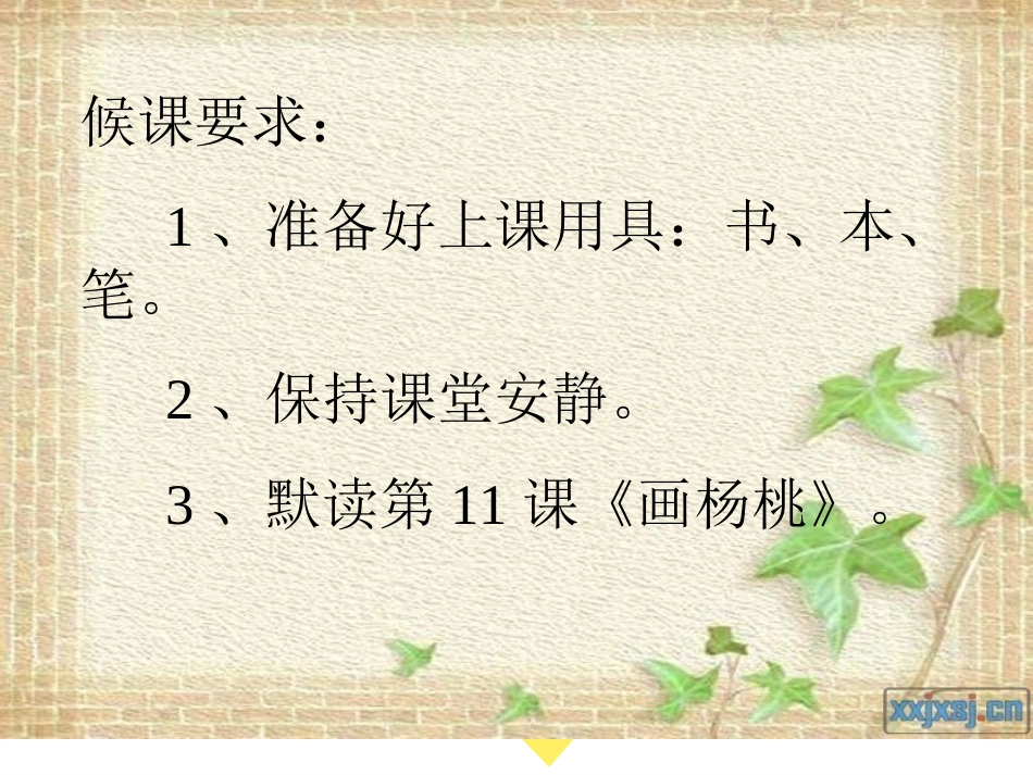 11画杨桃课件ppt_第1页
