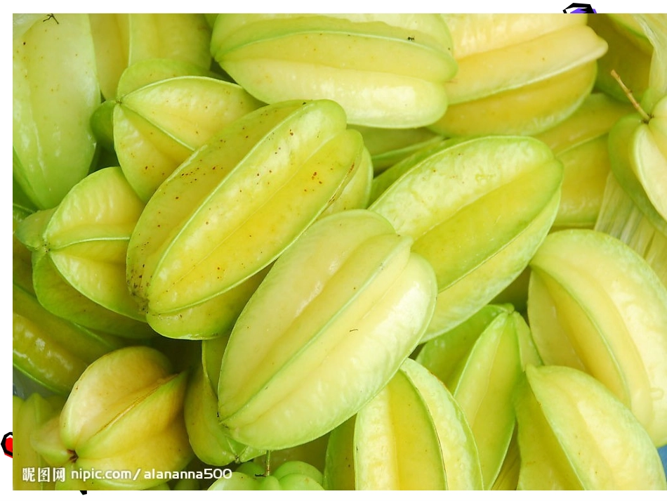 11画杨桃课件ppt_第3页