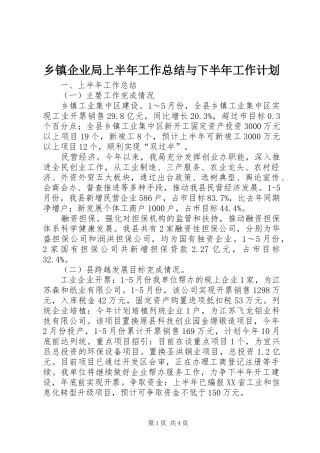 乡镇企业局上半年工作总结与下半年工作计划