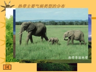 世界气候类型分布课件