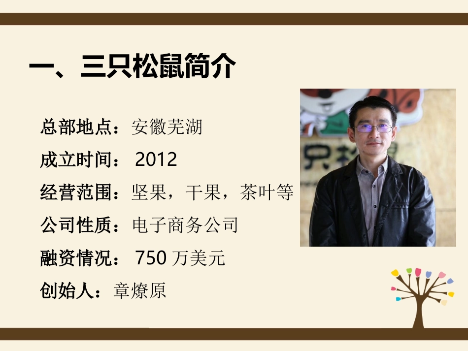 三只松鼠品牌案例分析_第3页