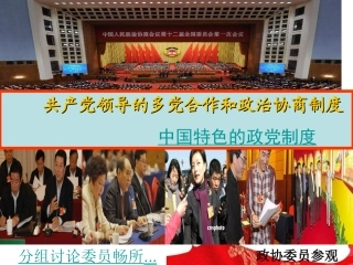 政党制度课件